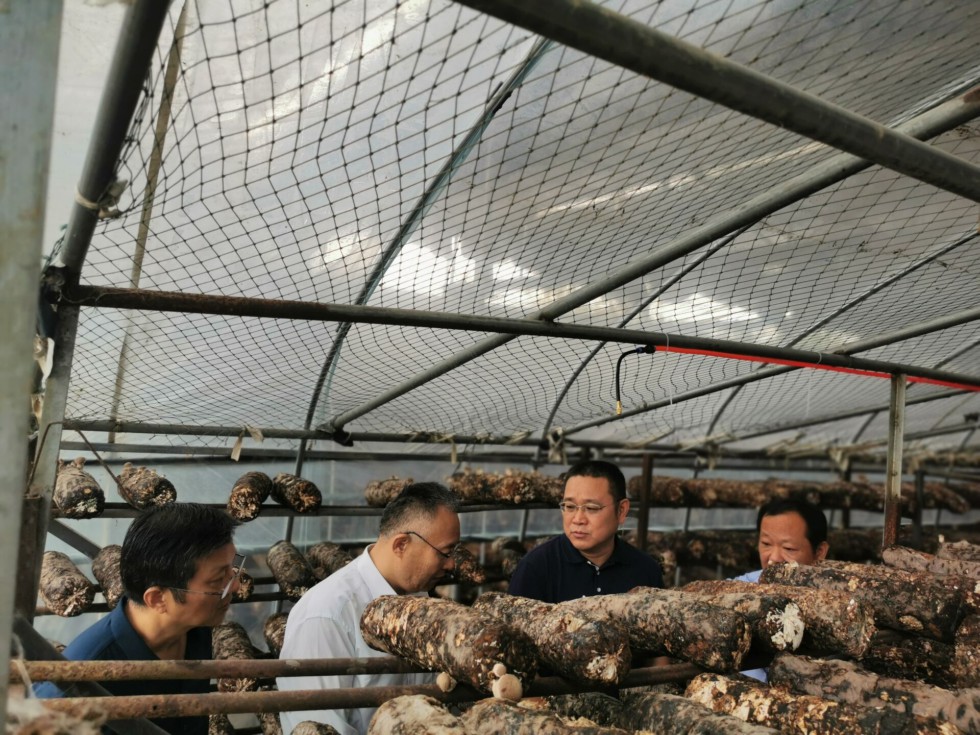 贾佳到施集镇开展《乡村振兴促进法》执法检查活动.jpg