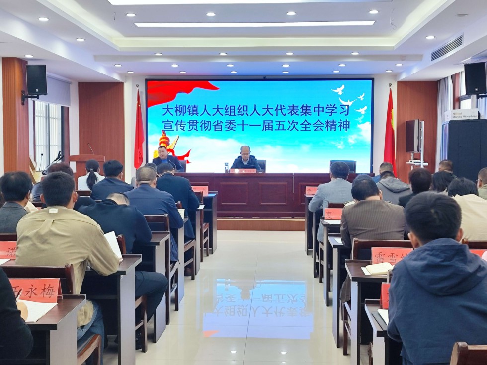 大柳镇人大集中学习省委十一届五次全会会议精神.jpg