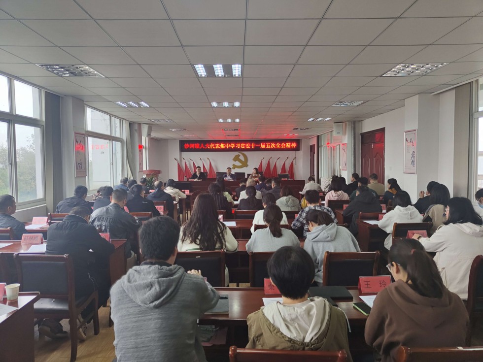 沙河镇组织人大代表集中学习省委十一届五次全会精神.jpg