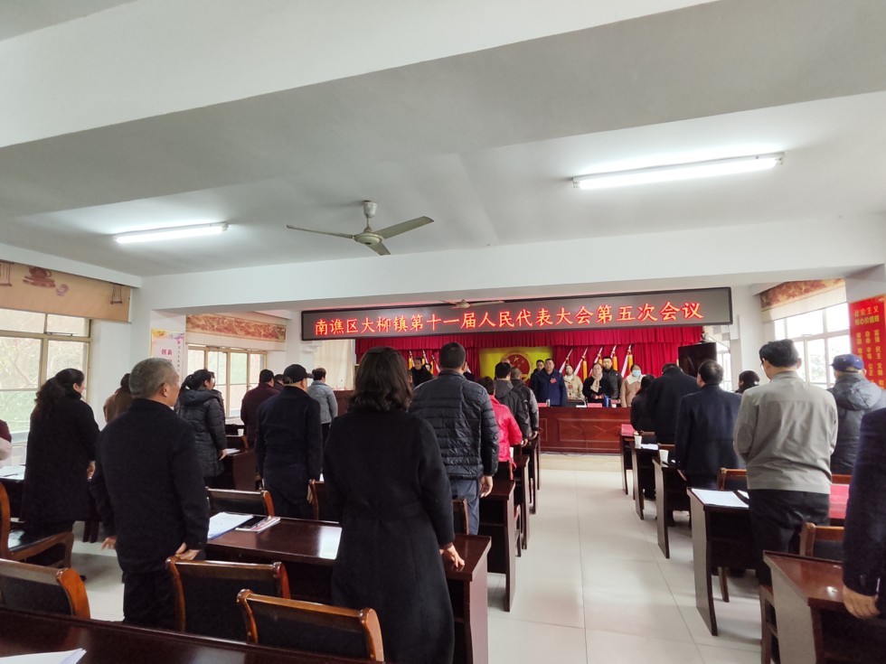 大柳镇召开十一届人大五次会议.jpg