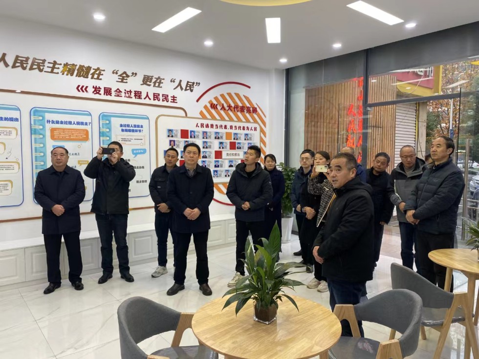 在滁部分省人大代表来南谯区开展专题视察活动.jpg
