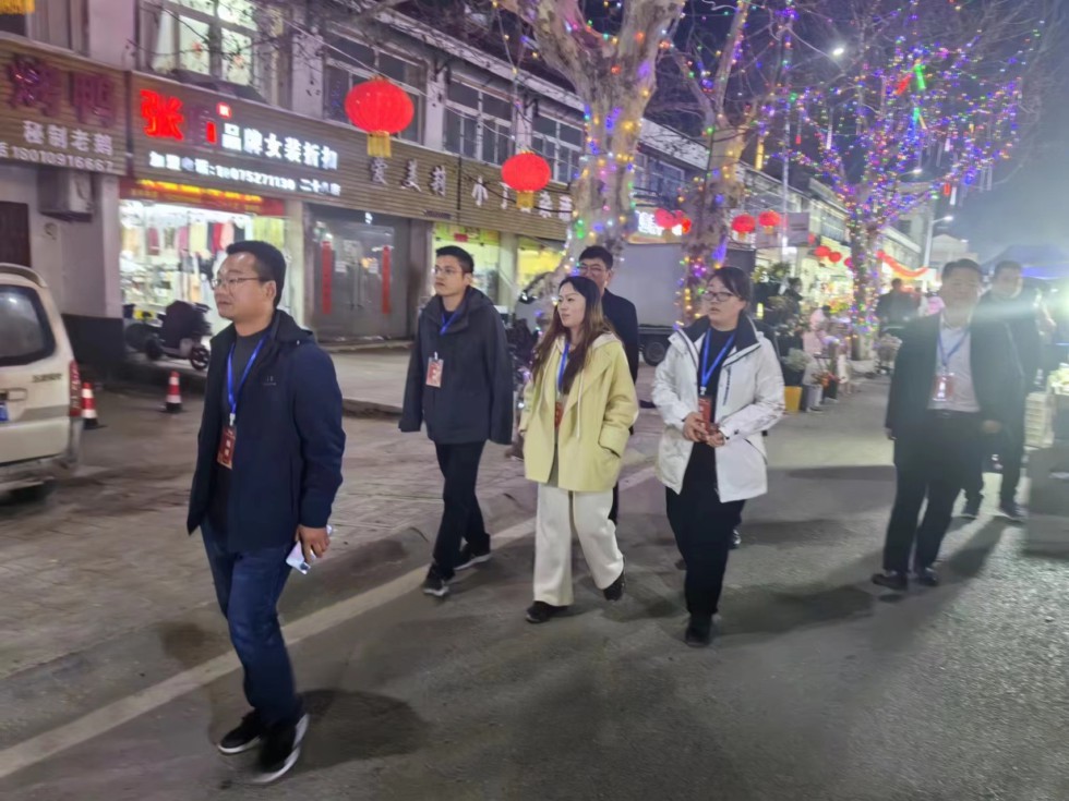 镇人大代表夜间坚守岗位开展庙会安全巡查.jpg