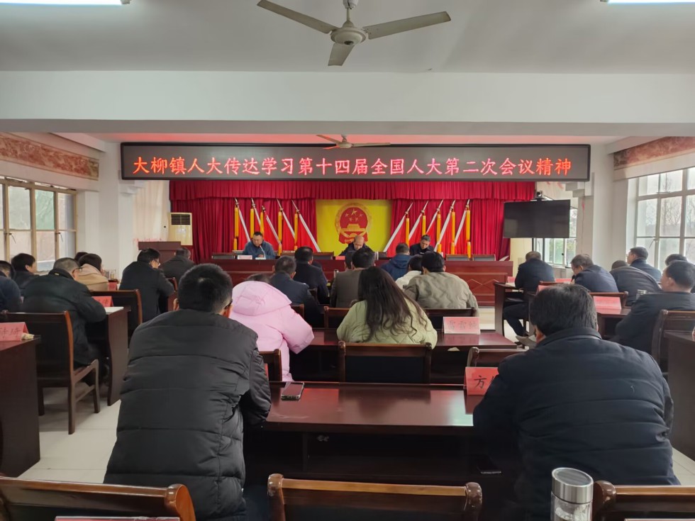 大柳镇人大：学习传达十四届全国人大二次会议精神.jpg