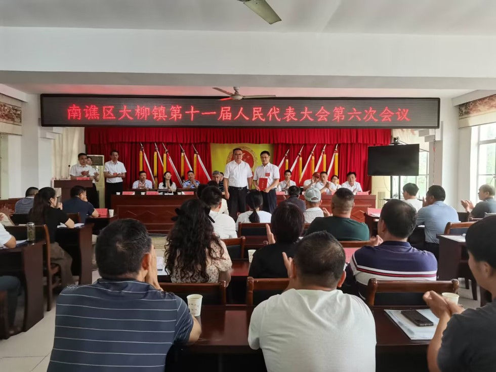 大柳镇召开十一届人大六次会议.jpg