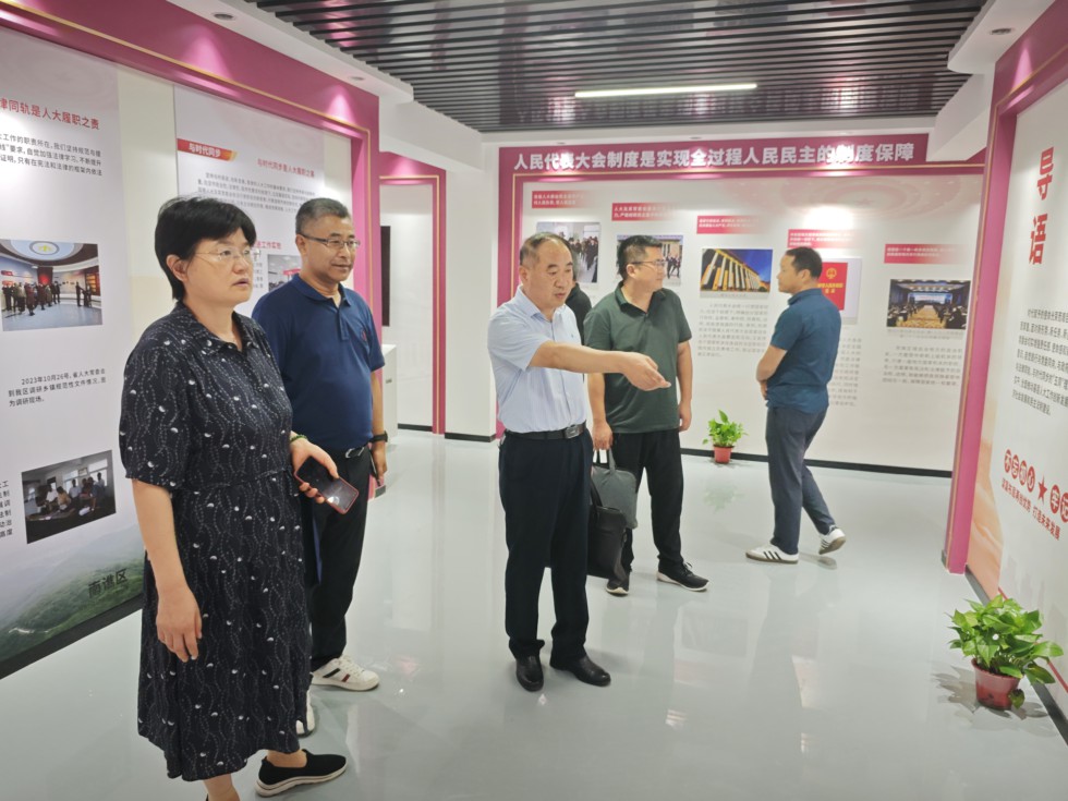 张思源率队调研乌衣镇人大工作.jpg