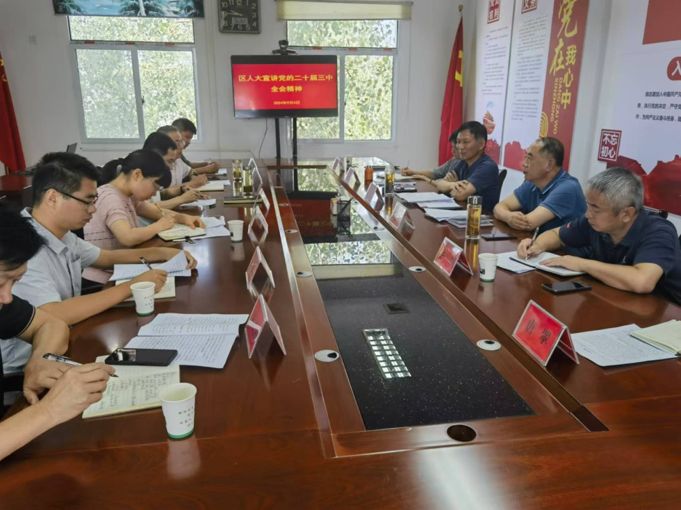 王良仁在黄泥岗镇宣讲党的二十届三中全会精神.jpg