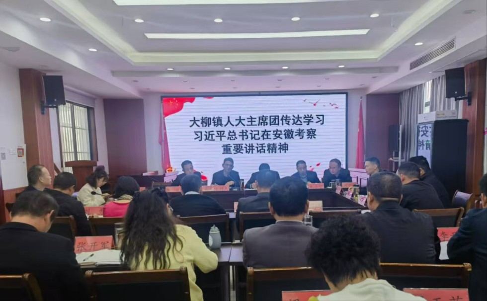 大柳镇人大主席团学习传达习近平总书记在安徽考察重要讲话精神.jpg