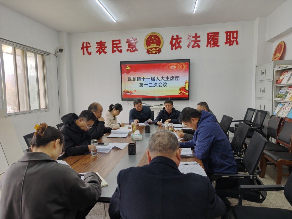 珠龙镇人大召开十一届人大主席团第十二次会议.jpg