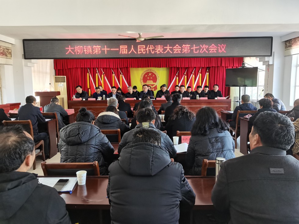 大柳镇召开十一届人大第七次会议.jpg
