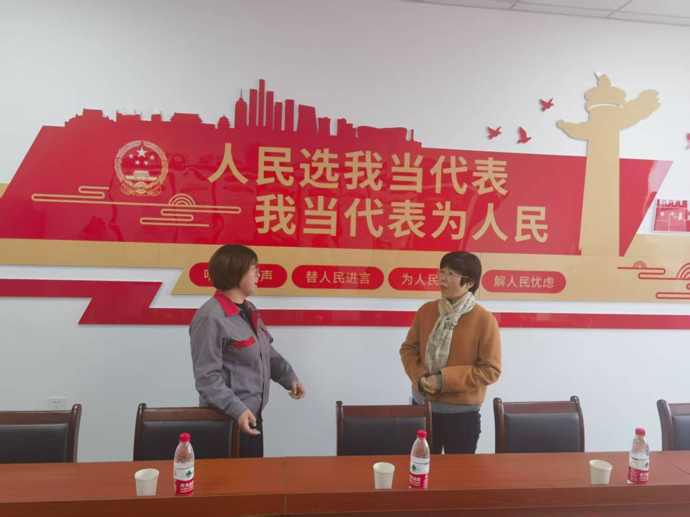 王沁调研沙河镇、黄泥岗镇人大工作1.jpg