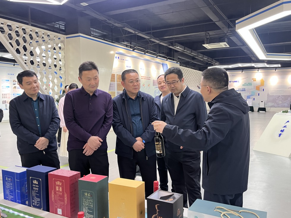贾佳调研科技创新工作.jpg