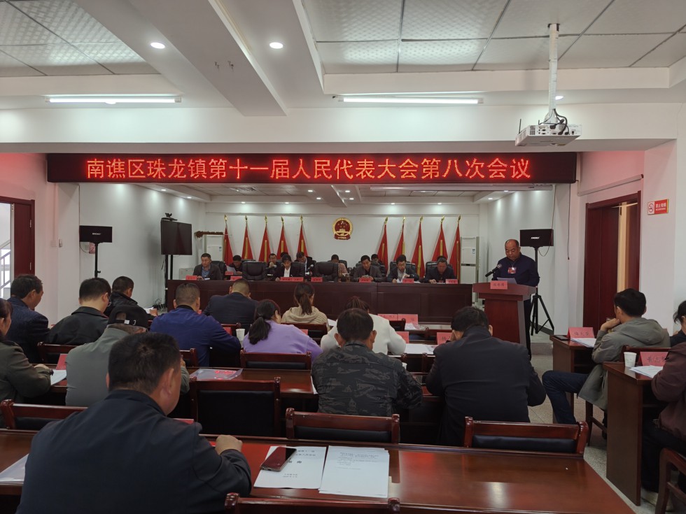 珠龙镇召开第十一届人民代表大会第八次会议.jpg