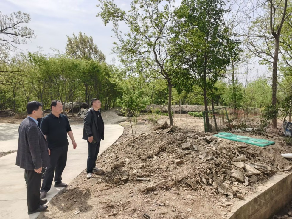珠龙镇人大充分发挥代表作用共建和美乡村.jpg