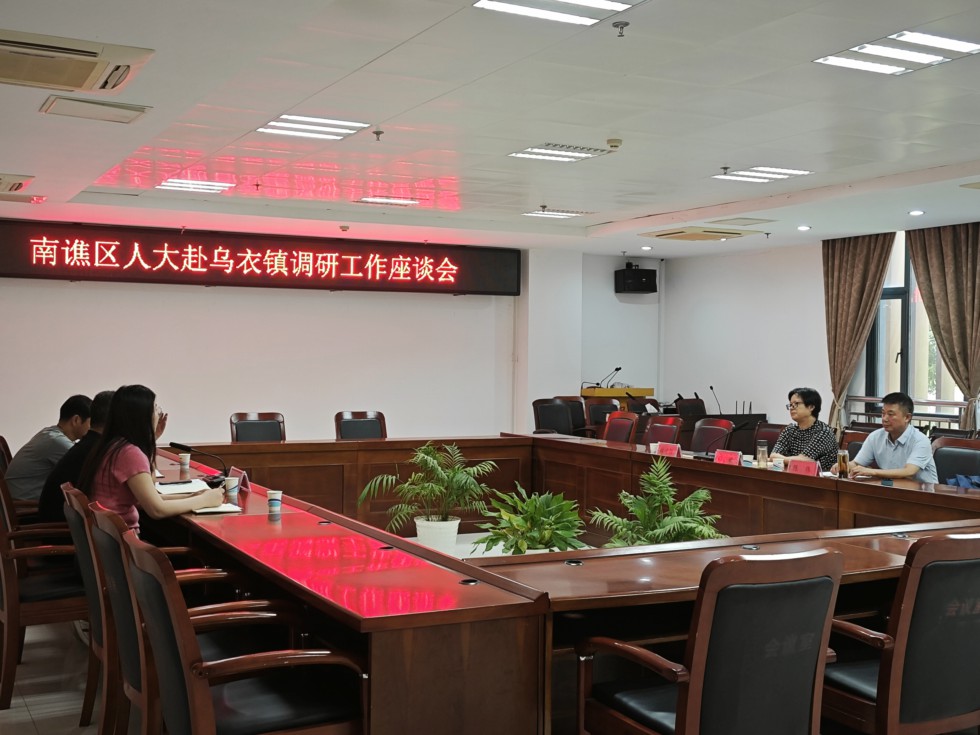 付立新赴乌衣镇、龙蟠街道调研人大工作.jpg